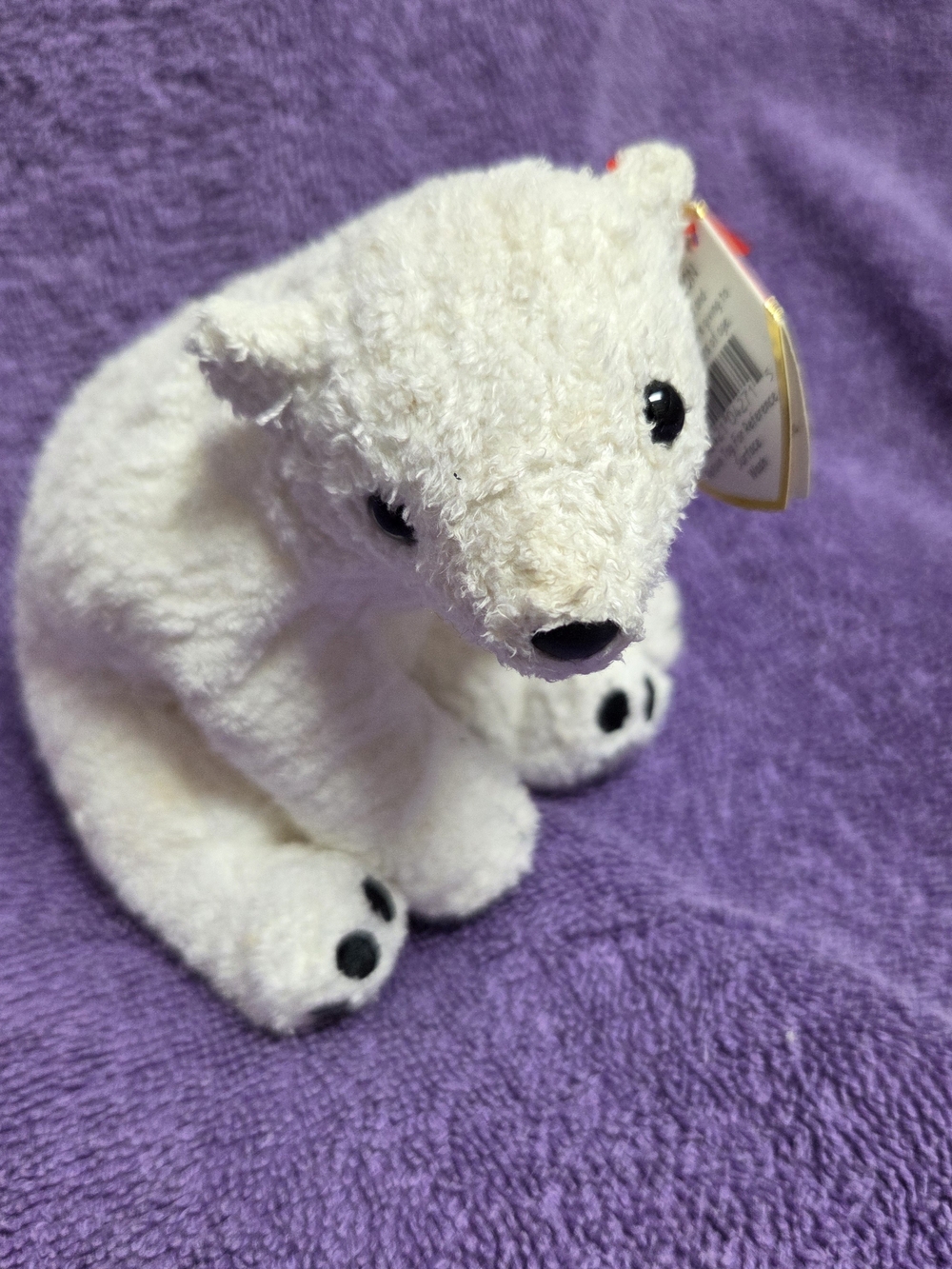 Ty Beanie Baby Aurora Polar Bear 2000 With Tags